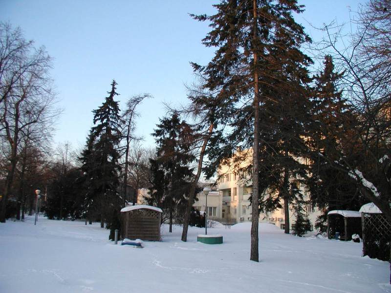 Zimą ogród jest zamknięty dla pacjentek.